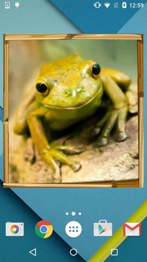 Bingkai Foto Widget screenshot 1