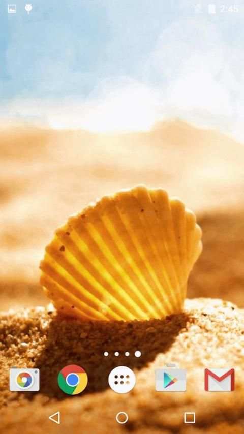 Sea Shell Live Wallpaper HD screenshot 2