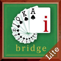 ikon Ibridge green lite ex1