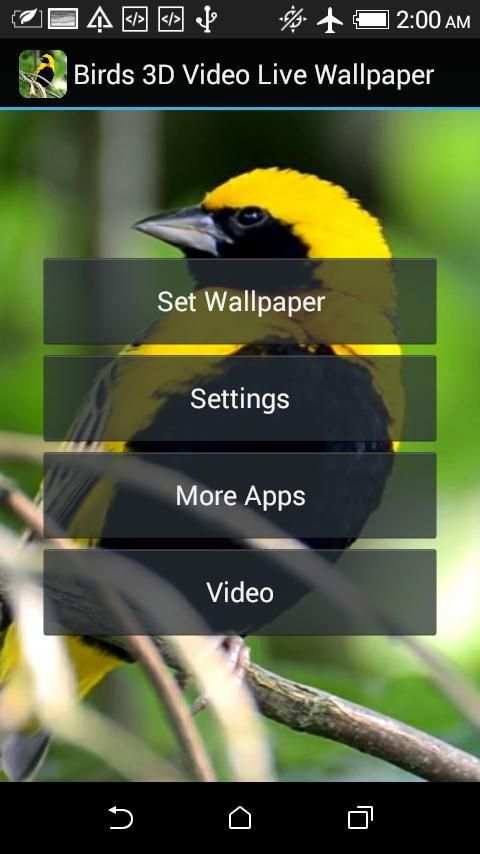 Birds 3D Video Live Wallpaper screenshot 1
