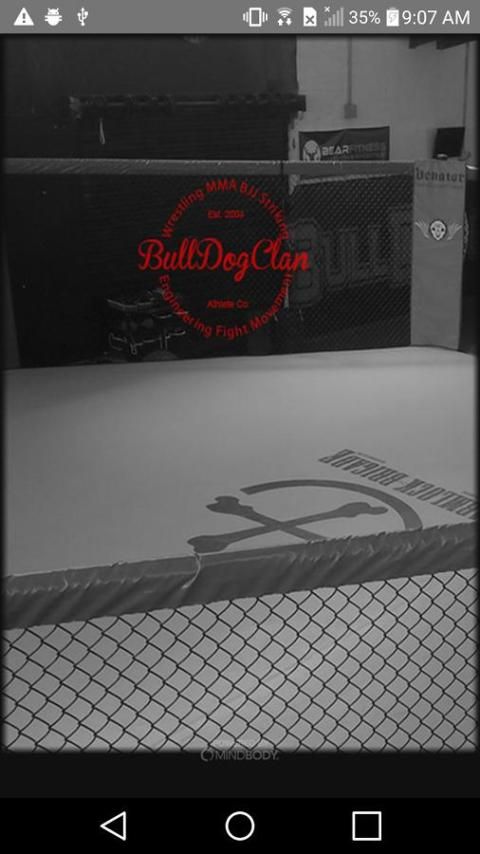 BullDogClan скриншот 4