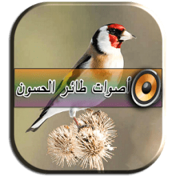ikon أصوات طائر الحسون