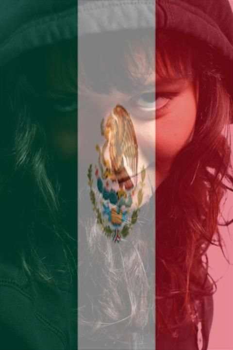 Profil Image Drapeau screenshot 1