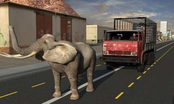 Elephant Racing Simulator 2016 स्क्रीनशॉट 18
