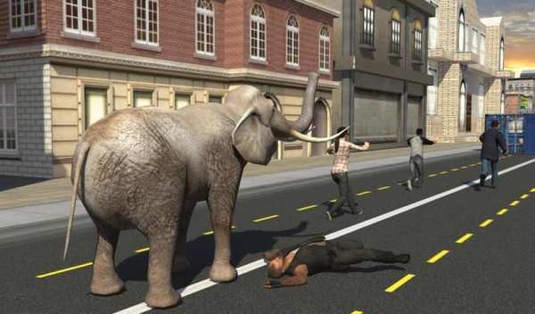 Elephant Racing Simulator 2016 स्क्रीनशॉट 2