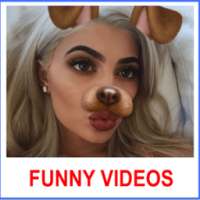 Funny Videos