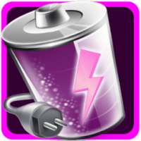 Battery Fast Charger