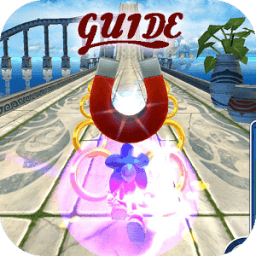 ikon Fan Sonic Dash WalkThrough