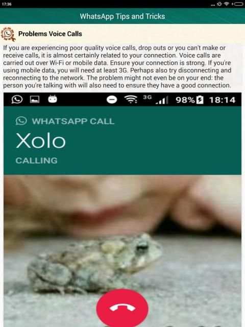 Help for WhatsApp Tips Tricks скриншот 5