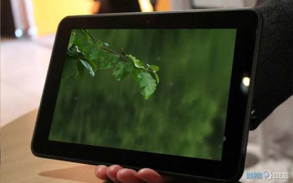 Leafy Rainfall LIVE WALLPAPER 3 تصوير الشاشة