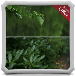 Leafy Rainfall LIVE WALLPAPER иконка