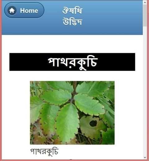 ভেষজ উদ্ভিদের ও ব্যবহার screenshot 9