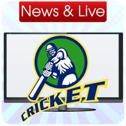 CRICKET Score 1.0