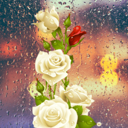 ikon Rose Cinta Icon Tema