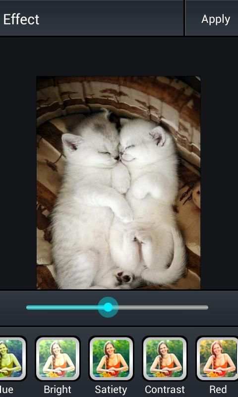 Ping Hat - Camera 365 5 تصوير الشاشة