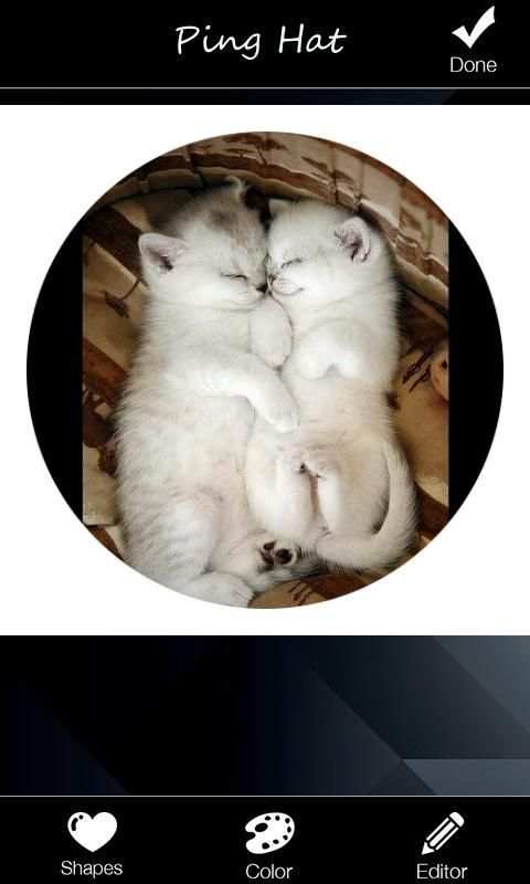 Ping Hat - Camera 365 3 تصوير الشاشة