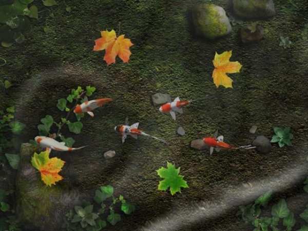 Wallpaper Hidup Koi Pond screenshot 17