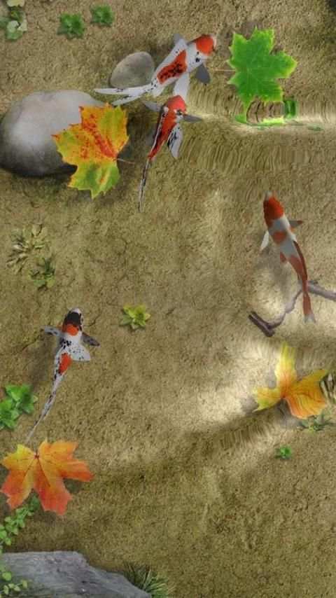 Wallpaper Hidup Koi Pond screenshot 18