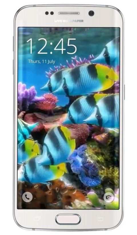 Home Aquarium Live Wallpaper 6 تصوير الشاشة
