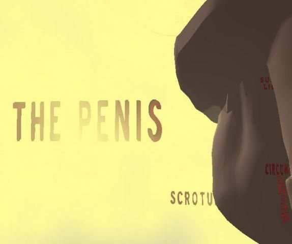Penis 3D 6 تصوير الشاشة