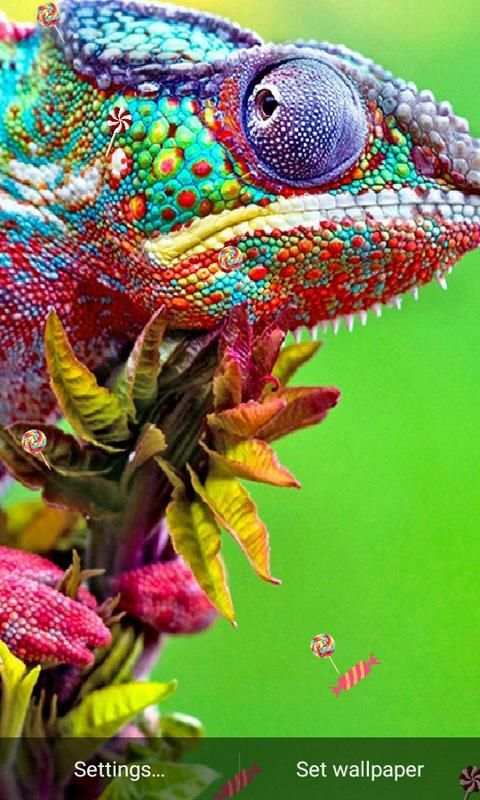 J7 Live Wallpaper स्क्रीनशॉट 3