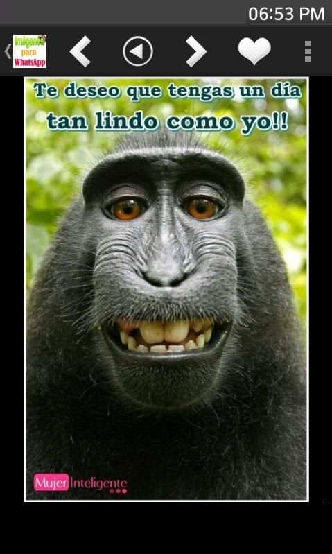 Imagenes para Whatsapp screenshot 8
