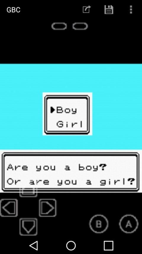 GBC Emulator screenshot 2