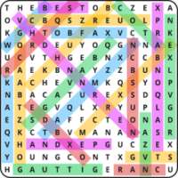 Word Search