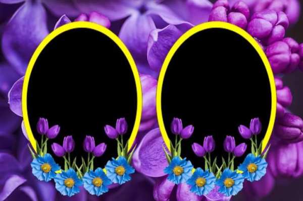 Flower Photo Frames скриншот 3