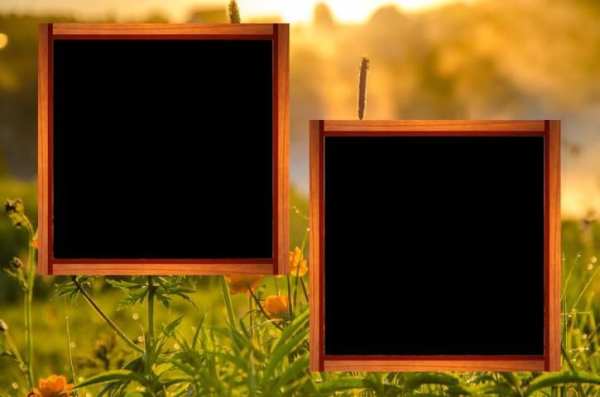 Flower Photo Frames скриншот 4