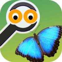 Zoom Trivia - Animals Edition