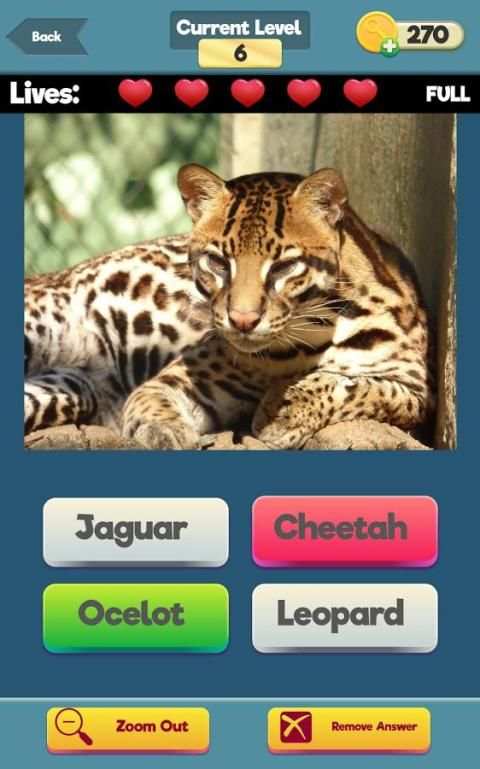 Zoom Trivia - Animals Edition screenshot 8
