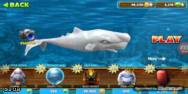 Guide Hungry Shark Evolution скриншот 3