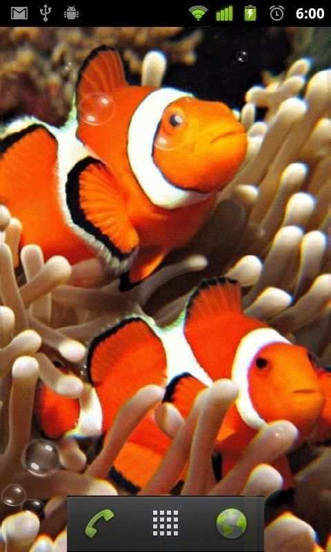 live wallpaper nemo screenshot 3