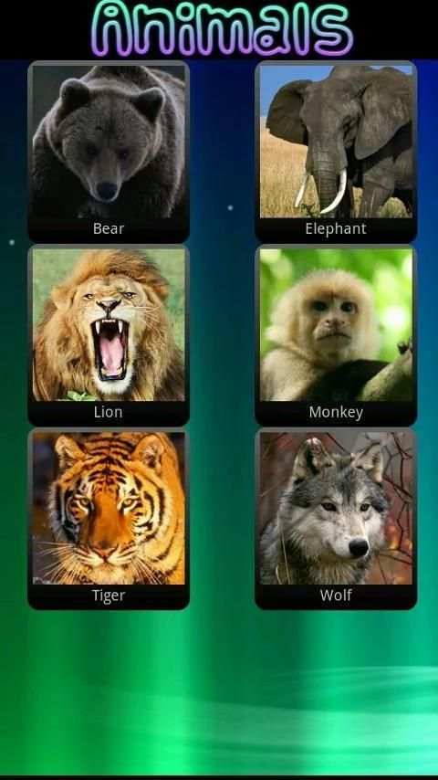 Animal Sounds for Children screenshot 7