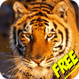 Animal Sounds for Children icon