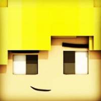 Multicraft exploration craft