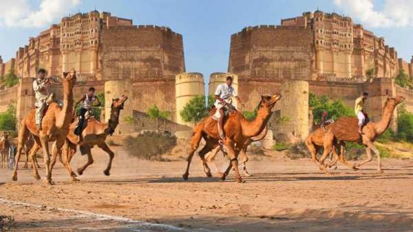 King of Rajasthan Camel Race screenshot 4