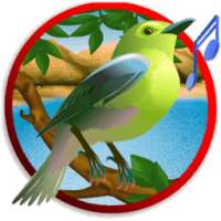 رنات أصوات الطيور والعصافير on 9Apps