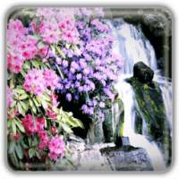 Spring Nature Wallpapers