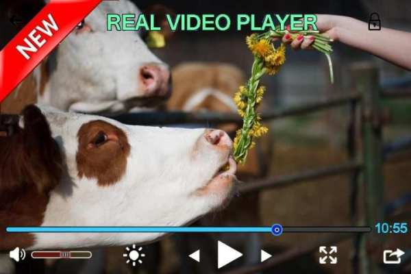 vedio real player HD скриншот 3
