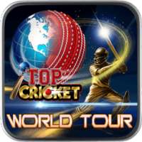 Top Cricket World Tour