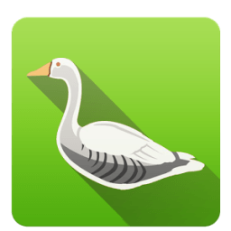 Duck Hunting icon