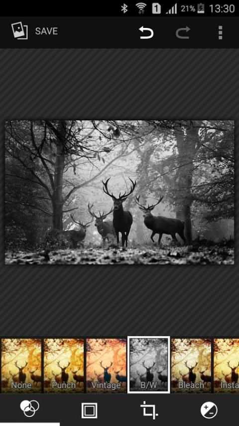 Gallery Pro screenshot 5