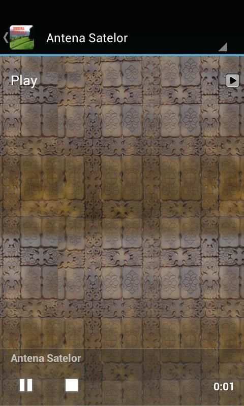 Muzica Populara Gratis screenshot 3