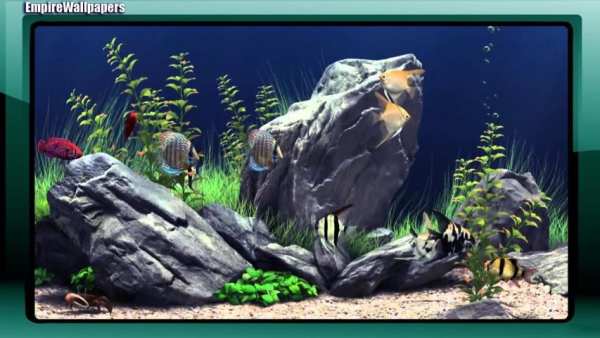 Aquarium Pack 2 Wallpaper screenshot 3