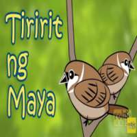 Pinoy Tiririt ng Maya Song
