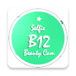 B12 Selfie - Heart Camera иконка