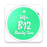 B12 Selfie - Heart Camera