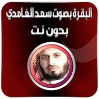 البقرة بصوت الغامدي بدون نت on 9Apps